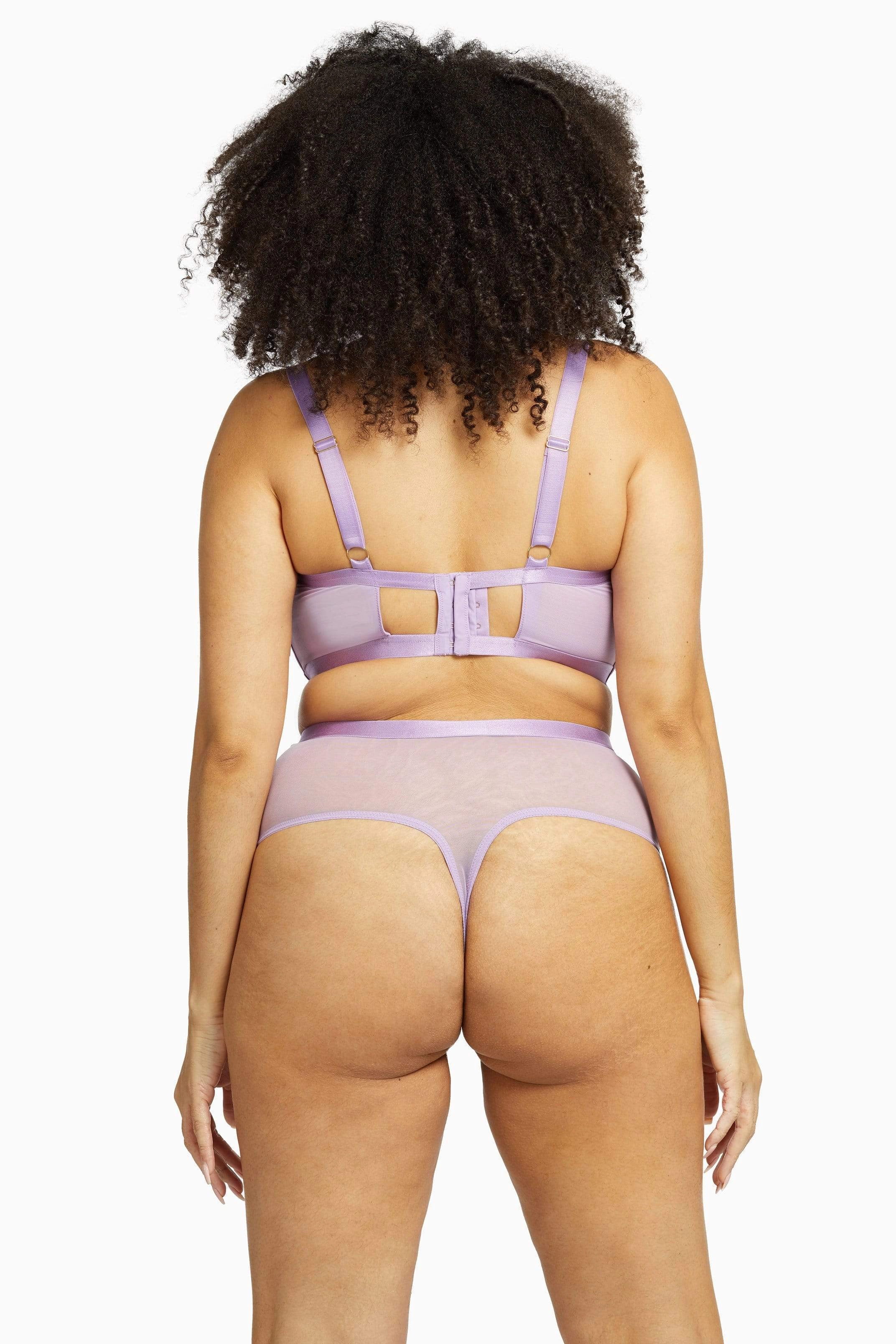 Fenella Lace and Net Longline Bra Core