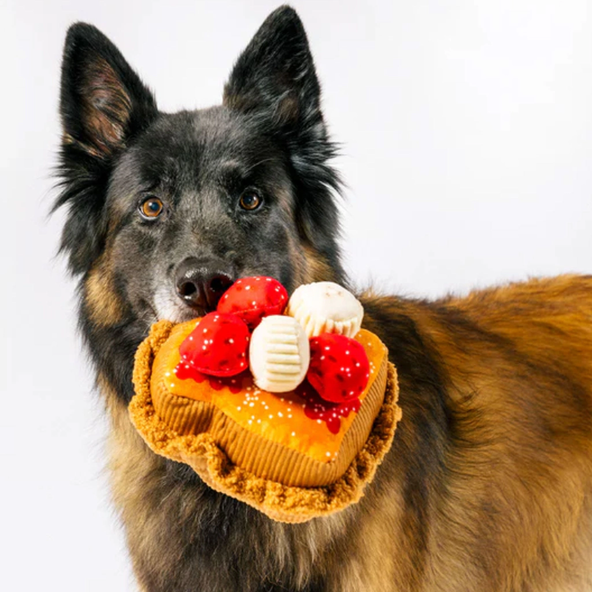 P.L.A.Y. IHOP French Toast Brown Dog Toys