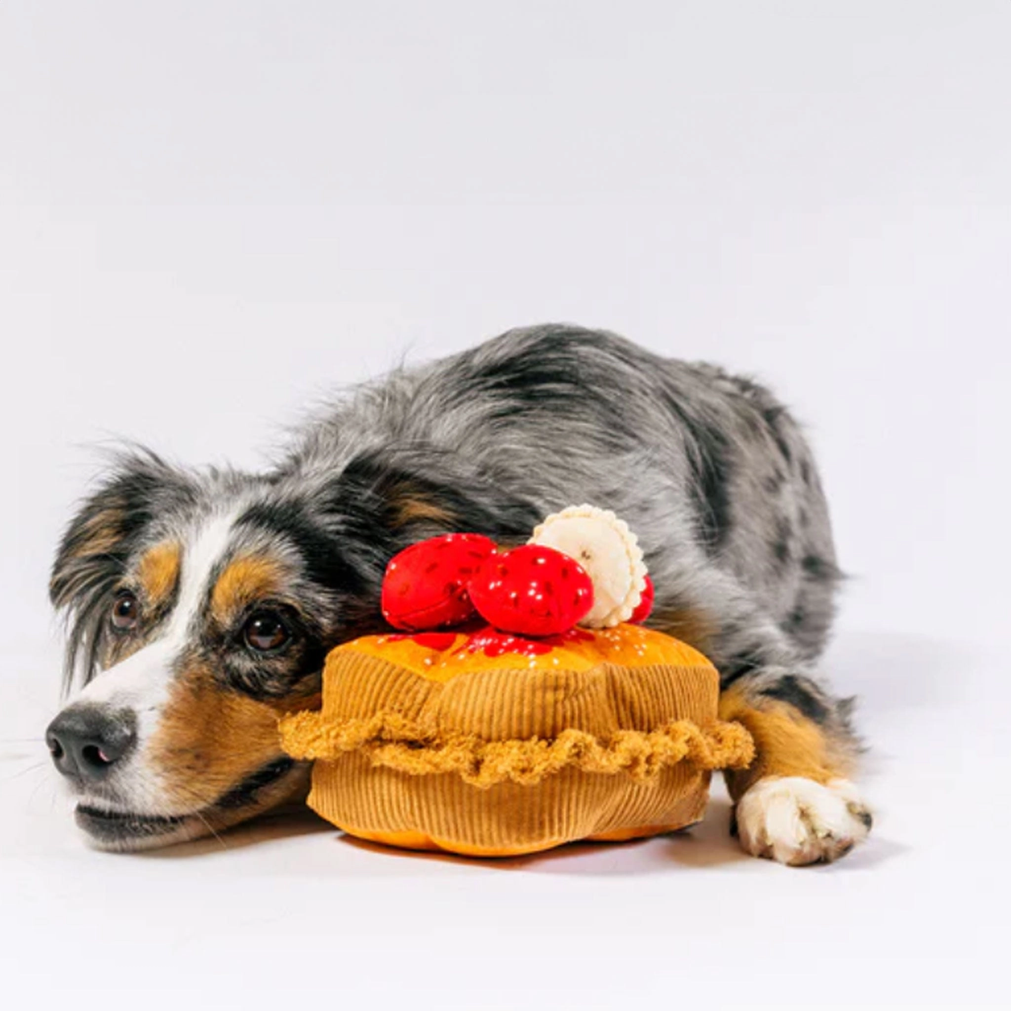 P.L.A.Y. IHOP French Toast Brown Dog Toys